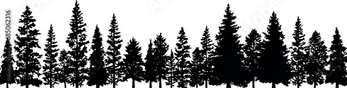A set of coniferous spruce trees silhouettes, gracefully arranged in a horizontal composition, on a transparent background. Generative AI