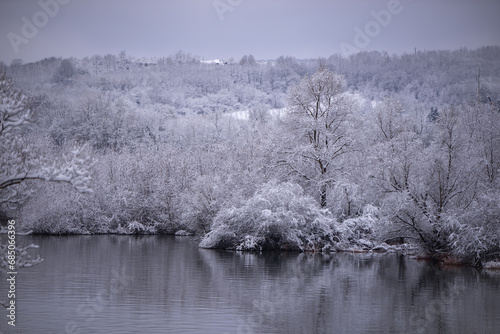 Winter landscape with a lake at the edge of the snow-covered forest