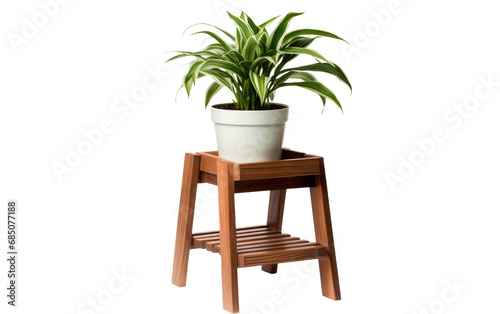 Plant Stand On Transparent Background