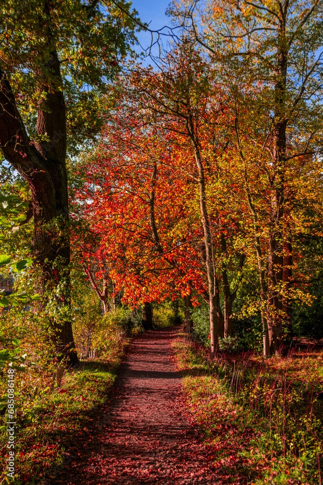 Footpath foresst autumn fall warwickshire england UK Footpath foresst autumn fall warwickshire england UK