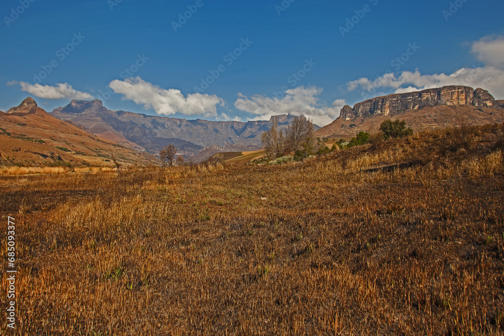 Drakensberg Mountain scene 15607