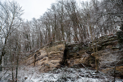Forest at the Scheissendempel waterfall covered with snow, Mullerthal trail in Waldbillig, Luxembourg in winter
 photo