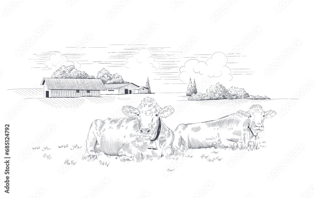 Obraz premium Dairy farm. Rural landscape with cows in a meadow . Hand drawn vector illustration 