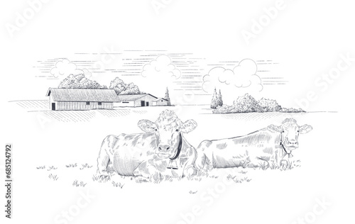 Dairy farm.  Rural landscape with cows  in a meadow . Hand drawn vector illustration
