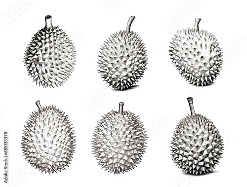 Black and white line drawing of durian on a white background
