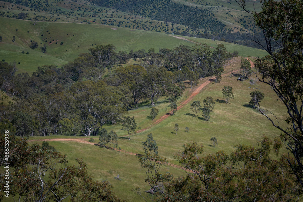 Dirt road along a mountain ridge in green Australian bushland 