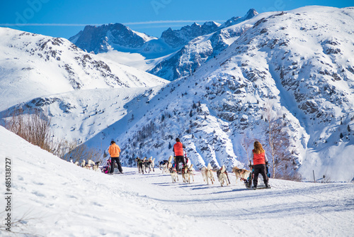 Ballade en chiens de traineau - Alpe d'Huez