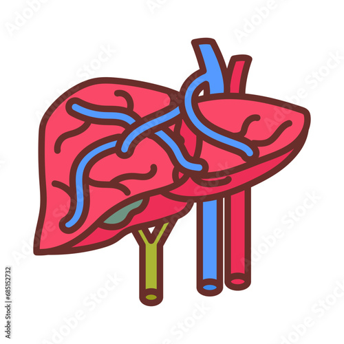 Portal Vein iconPortal Vein icon in vector. 