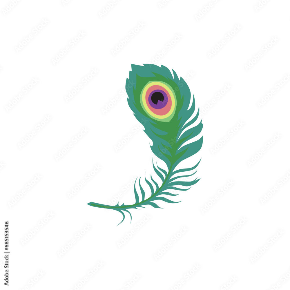 Peacock feather isolated flat vector illustration.
