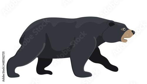 Cartoon walking black bear  wild nature  huge adult grizzly  cute design logo. Hunting predator  forest carnivore. Graphic logo. Isolated on white background. Vector illustration