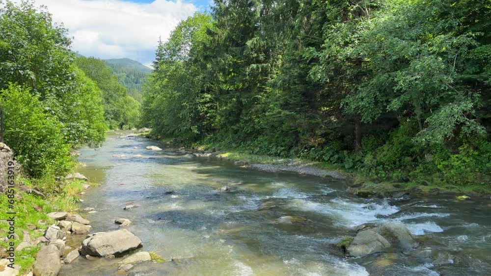 Mountain river flowing between rocky shores in woodland. Beautiful landscape and nature. Environmental protection. The ecosystem. Mountain river flowing between rocky shores in woodland. Beautiful landscape and nature. Environmental protection. The ecosystem.