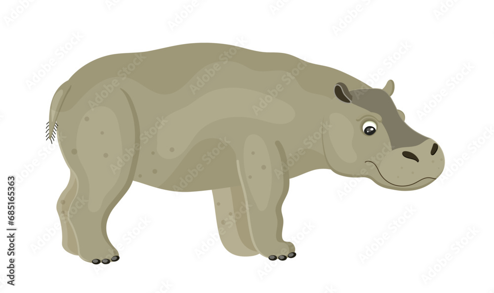 Cute standing hippopotamus, cartoon child design, large grey hippo, wildlife nature, safari and zoo mammal. African savannah vacation. Isolated on white background. Vector illustration Cute standing hippopotamus, cartoon child design, large grey hippo, wildlife nature, safari and zoo mammal. African savannah vacation. Isolated on white background. Vector illustration