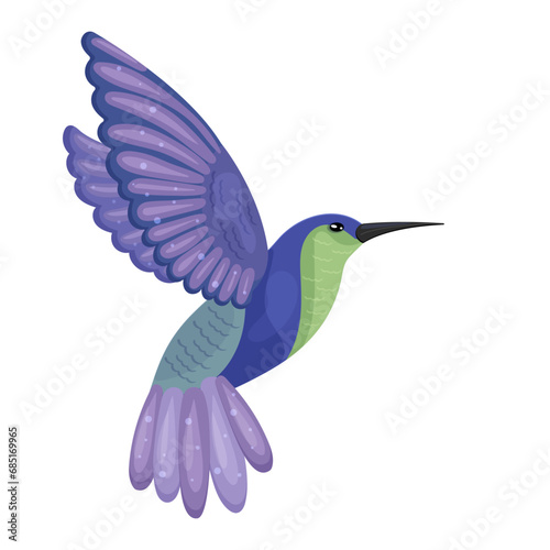 Flying cute beautiful hummingbird picture. Colorful wonderful exotic bird. Wildlife nature, purple feather, wing and tail, long beak. Isolated on white background. Vector illustration