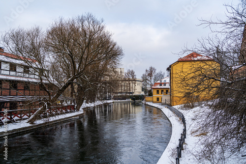 Winter Serenity: Frozen River and Snowy Trees in Bydgoszcz, Poland