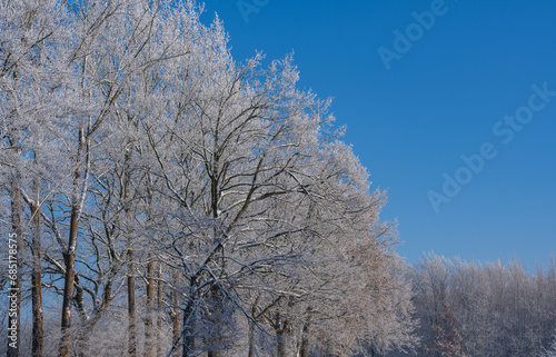 Schneelandschaft oder Winterlandschaft, Schnee und Eis bedeckte Bäume an einem Ackerland 