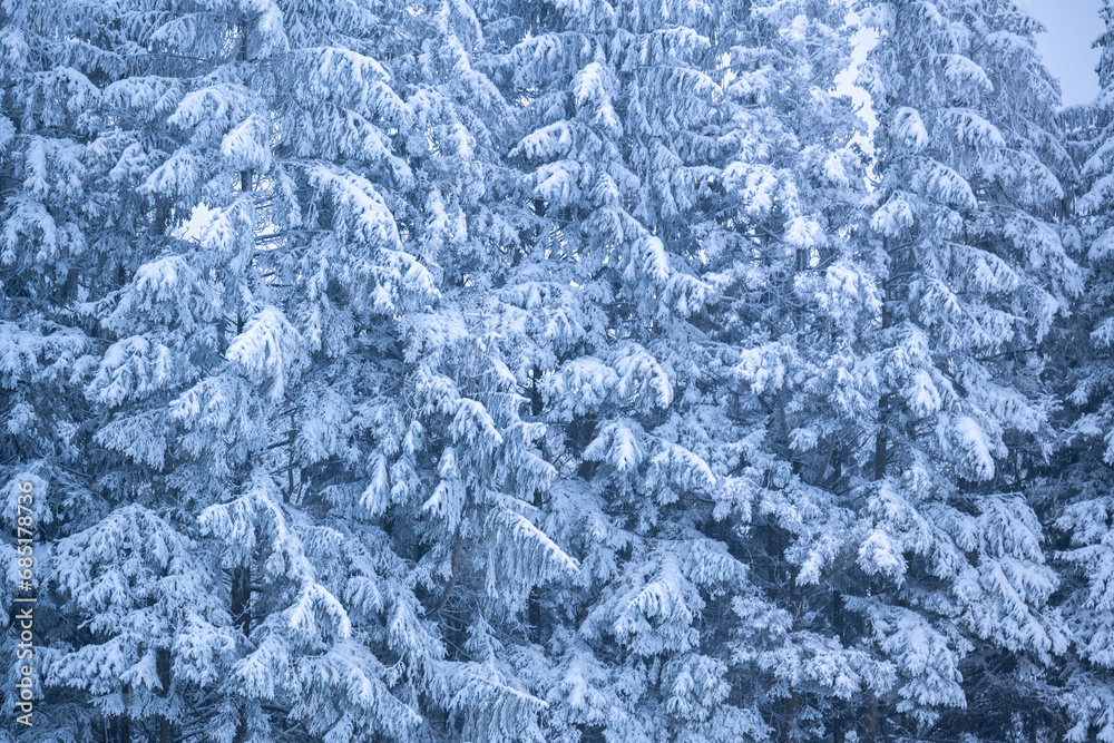 Schneelandschaft oder Winterlandschaft, Schnee und Eis bedeckte Bäume an einem Ackerland Schneelandschaft oder Winterlandschaft, Schnee und Eis bedeckte Bäume an einem Ackerland