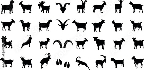 Goat breeds vector illustration, black and white silhouettes. Perfect for goat lovers, farmers, livestock enthusiasts. Features boer, alpine, nubian, pygmy, angora, saanen, toggenburg, oberhasli, la m photo