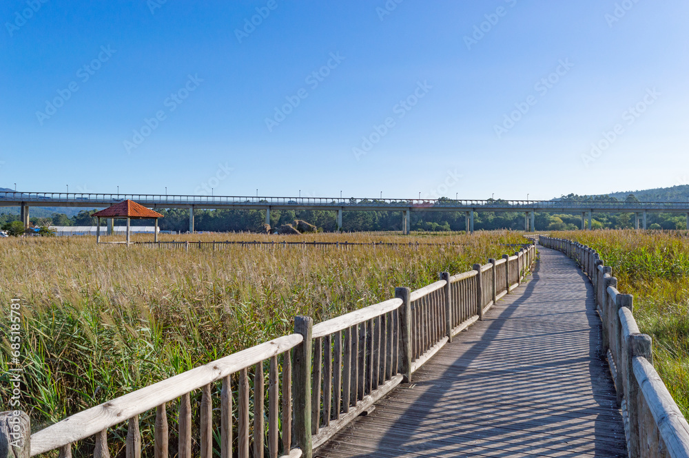 wooden walkway or bridge over the marshes