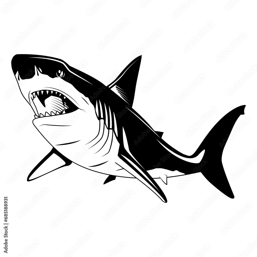 Fototapeta premium shark on white background