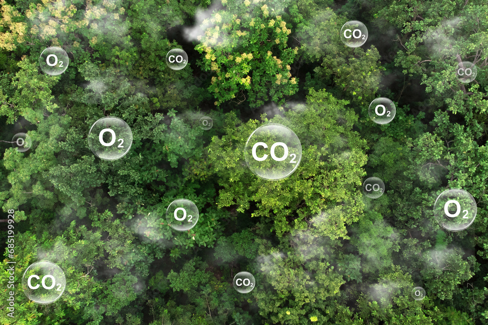 Reduce CO2 emissions to limit climate change and global warming. Tree canopy against oxygen O2 and carbon dioxide CO2 molecules.net zero.Carbon dioxide absorption and oxygen release concept - obrazy, fototapety, plakaty 
