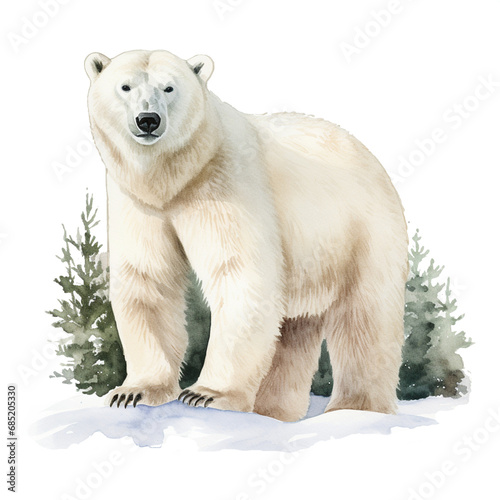 polar bear on a rock