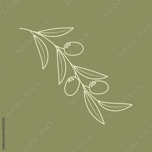 Olive tree branch with fruits and leaves line art illustration