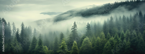 Mystical Fog-Enveloped Forest Scene