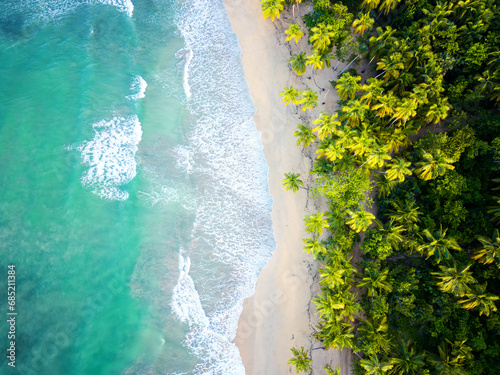 Aerial top view of the turquoise sea waves on the sand of wild beach. Green palm trees heads in grove with no people. Beautiful nature of the tropical island in Thailand photo