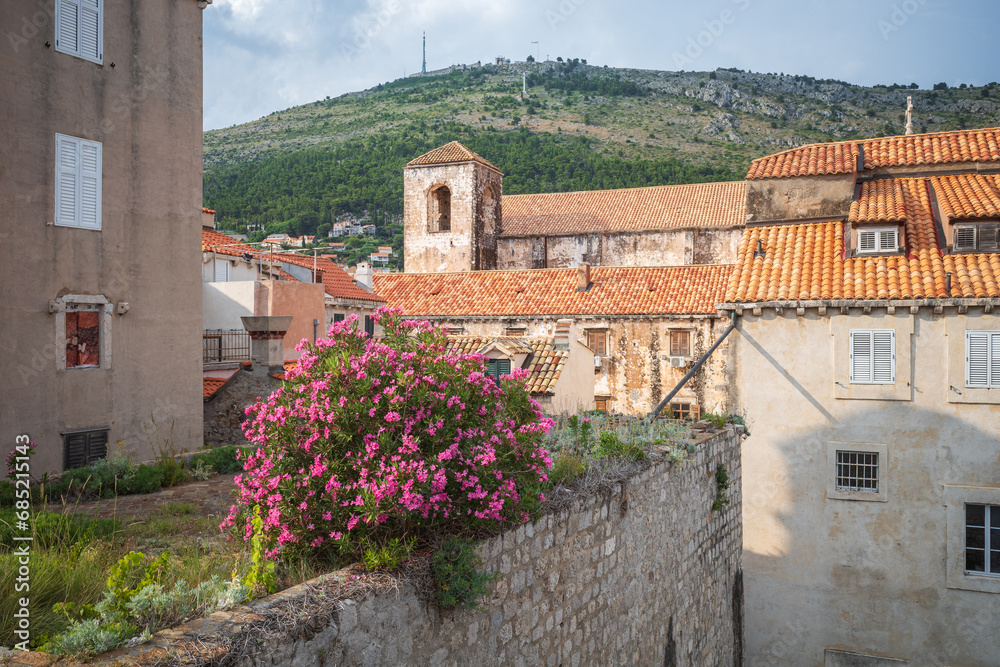 Dubrovnik Old Town walls. Bright pink bush of bougainvillea in foreground