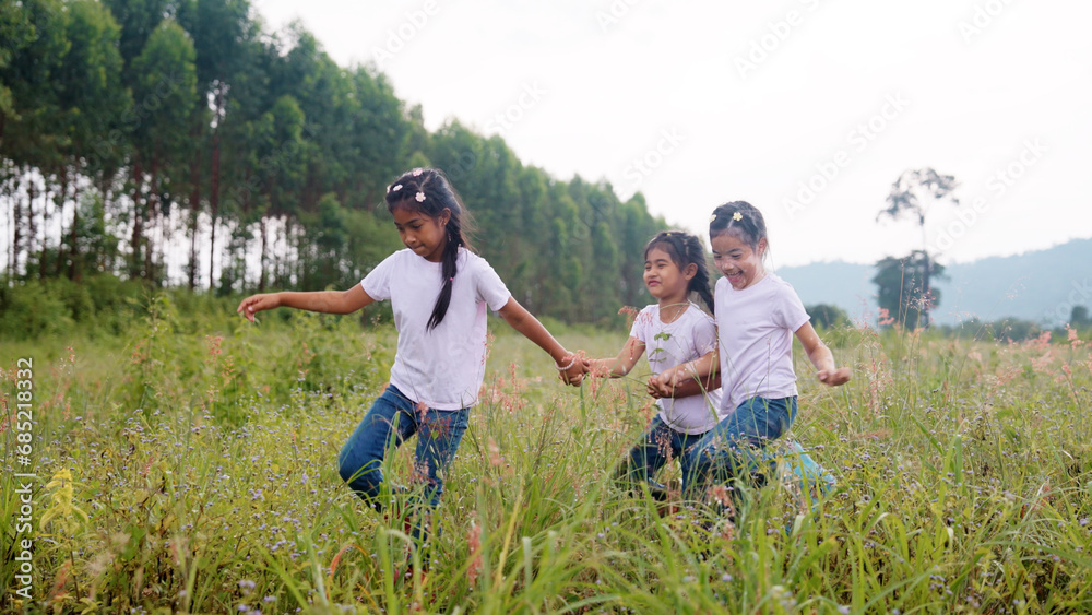 Three active sister cute child girls hold hands move way forward go walk in rural green grass field. Happy sibling young kids group asia people relax smile joy explore fun in love care nature forest. Three active sister cute child girls hold hands move way forward go walk in rural green grass field. Happy sibling young kids group asia people relax smile joy explore fun in love care nature forest.