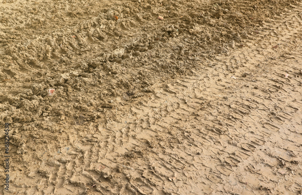 Wheel track on mud. Traces of a tractor or heavy off-road car on brown mud in a wet meadow Wheel track on mud. Traces of a tractor or heavy off-road car on brown mud in a wet meadow