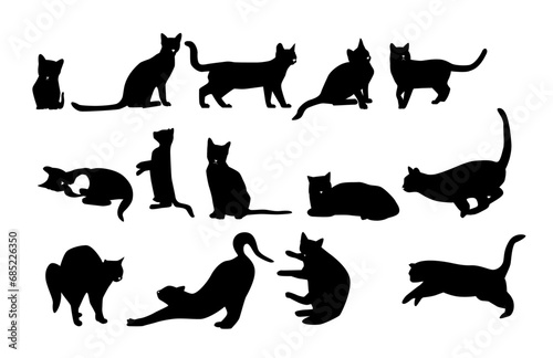 Fototapeta Naklejka Na Ścianę i Meble -  Cats, cats and more cats