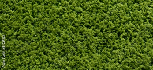 Vibrant Green Carpet of Nature Lush Trees in Close-up View for Serene Landscapes and Outdoor Scenes Generative AI