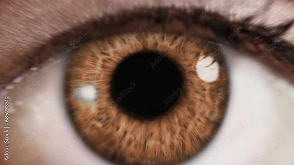 
Zoom in to Beautiful Macro Shot of Brown Woman Eye Blinking. Pupil Opening Zooming to  Back Frame. Healthy Eyesight concept. Make up.