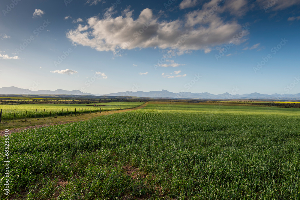 Agricultural fields landscape

