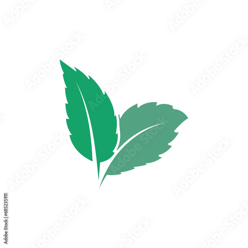 Natural leaf mint logo vector template symbol design