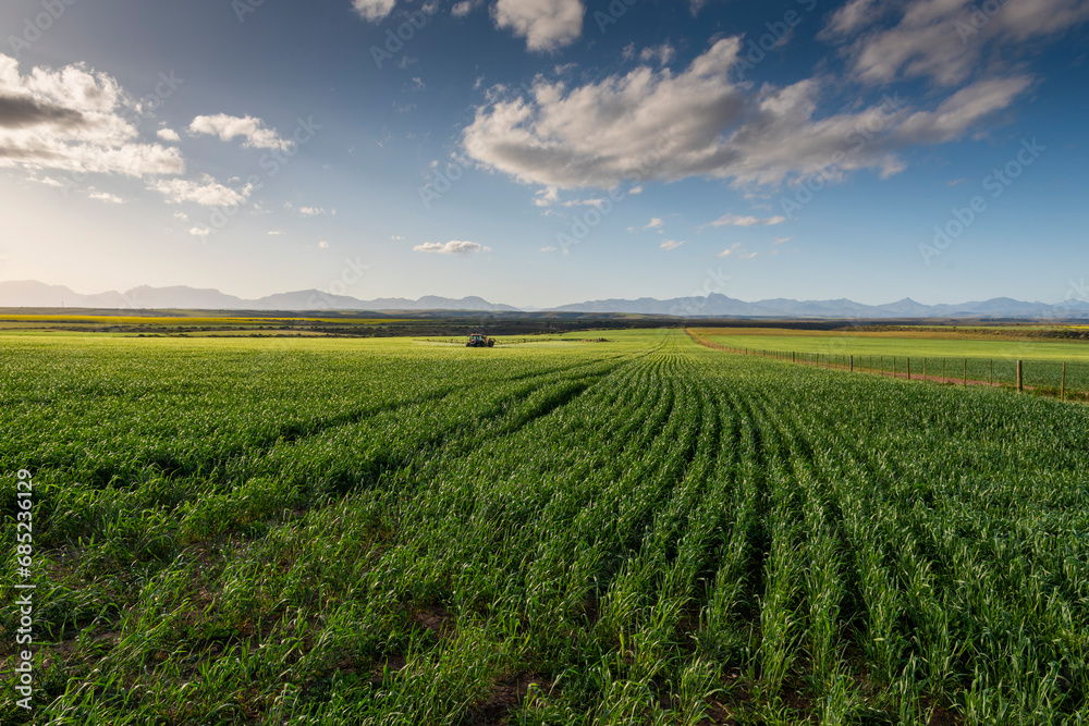 Agricultural fields landscape


