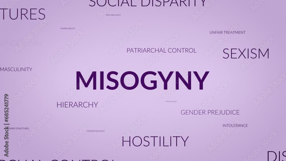Unveiling Perspectives: A Dynamic Zoom into Misogyny Related Themes Unveiling Perspectives: A Dynamic Zoom into Misogyny Related Themes