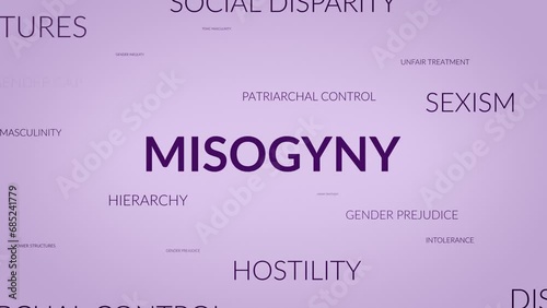 Unveiling Perspectives: A Dynamic Zoom into Misogyny Related Themes photo