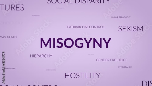 Unveiling Perspectives: A Dynamic Zoom into Misogyny Related Themes