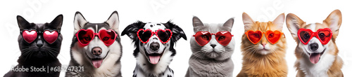 Valentine’s Day Set of Dogs and Cats with Heart-Shaped Sunglasses: Cute Pet for Pet Shop Banners and Veterinary Clinic Promotions, Isolated on Transparent Background, PNG photo