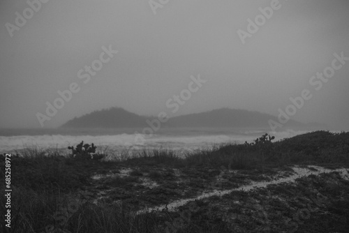 fog in the beach - ilha do campeche
