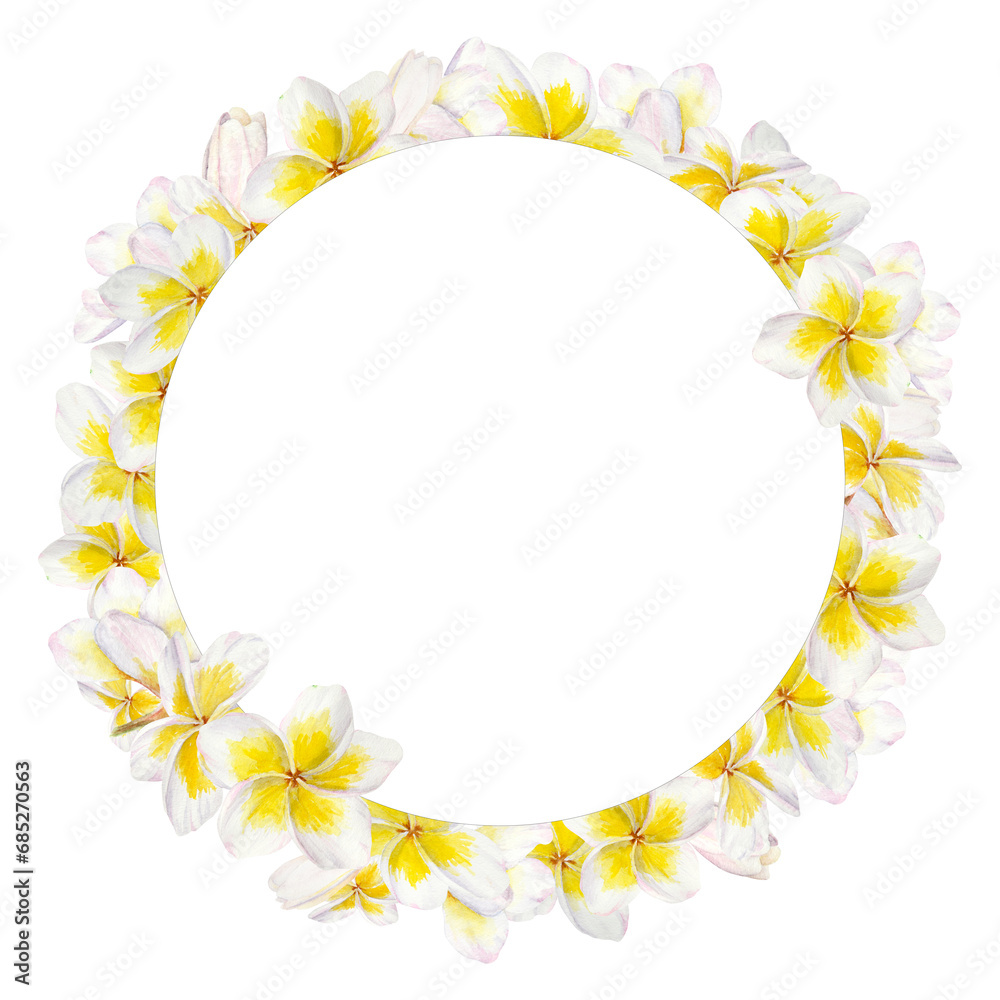 White frangipani wreath. Watercolor hand drawn clip art of exotic flower plumeria. Tropical painting for wedding invitations, spa and massage salon prints, cosmetic packing, travel guides White frangipani wreath. Watercolor hand drawn clip art of exotic flower plumeria. Tropical painting for wedding invitations, spa and massage salon prints, cosmetic packing, travel guides