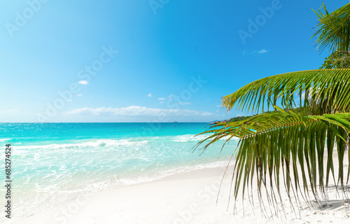 Turquoise water and palm trees in a tropical beach