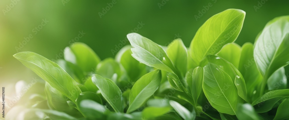 spring green background with twig and grass framing