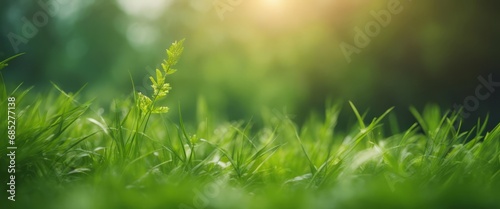 spring green background with twig and grass framing