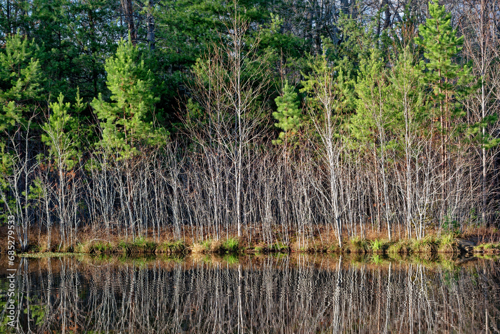 Lake reflections in winter