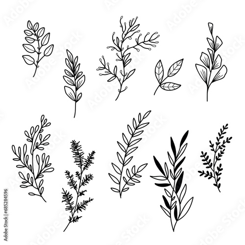 Vector illustration Set of flowers and leaves in doodle hand drawing style.