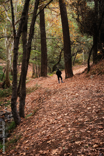 Person walking in nature trail in the forest in autumn. Adventure, person active outdoors. Fall Season autumn leaves © Michalis Palis
