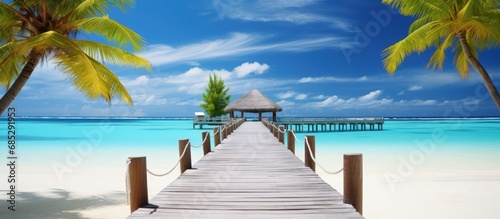 Maldivian resort with sandy beach palm tree and wooden walkway in paradisiacal setting copy space image © vxnaghiyev
